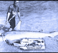 Catch any size fish! With Fish Fun Co Remote Control Fishing Boats, and ‘The RC Fishing Pole’